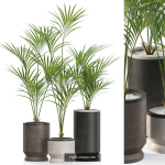 Plants collection vol 11