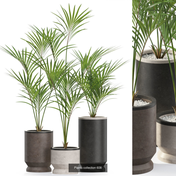 Plants collection vol 11