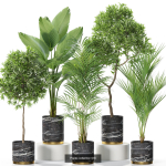 Plants collection vol 11
