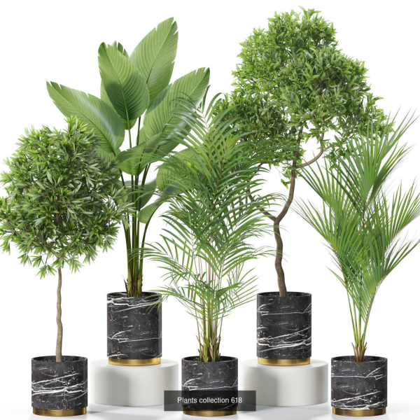 Plants collection vol 11