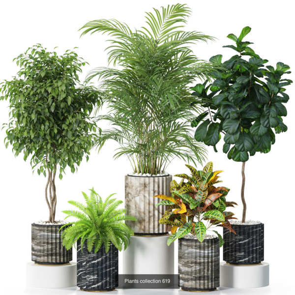 Plants collection vol 11