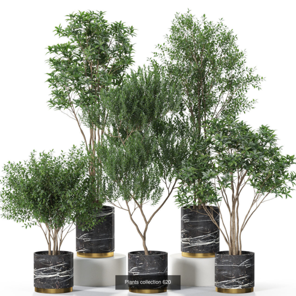 Plants collection vol 11