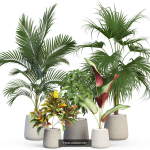 Plants collection vol 11