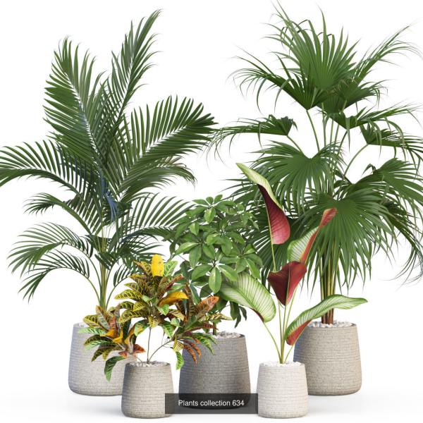 Plants collection vol 11