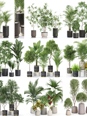 Plants collection vol 11