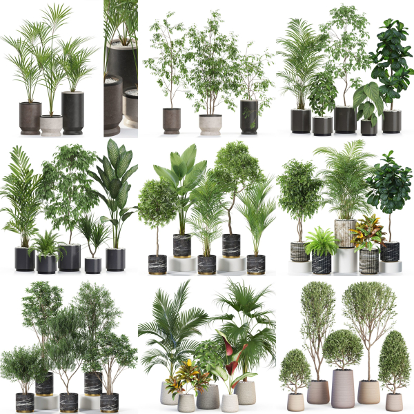 Plants collection vol 11