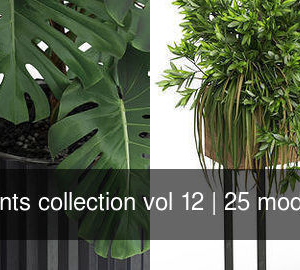 plants-collection-vol-12-3d-model-max-obj-fbx-c4d-blend