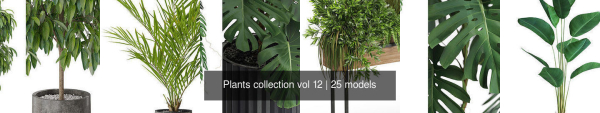 Plants collection vol 12