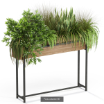 Plants collection vol 12