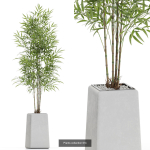 Plants collection vol 12