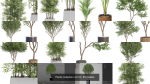 Plants collection vol 12