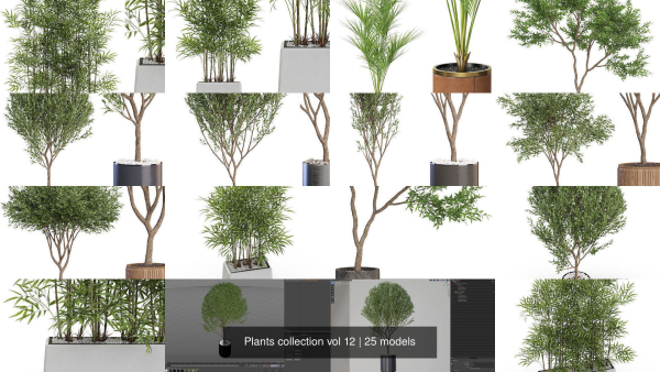 Plants collection vol 12