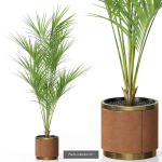 Plants collection vol 12