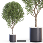 Plants collection vol 12