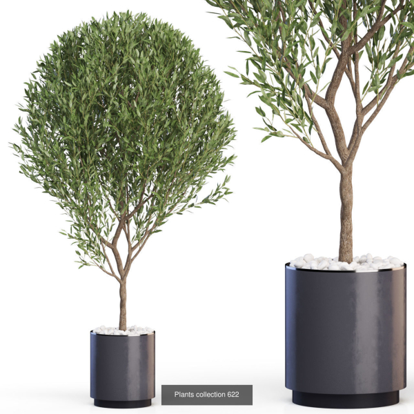Plants collection vol 12