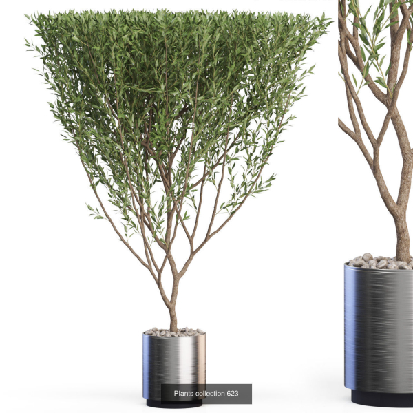 Plants collection vol 12