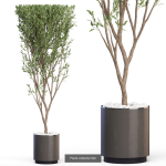 Plants collection vol 12