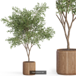Plants collection vol 12
