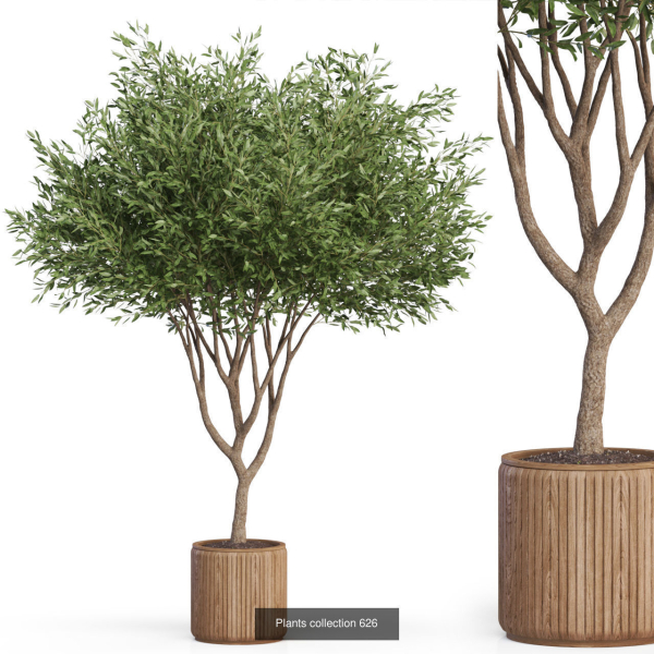 Plants collection vol 12