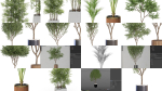 Plants collection vol 12