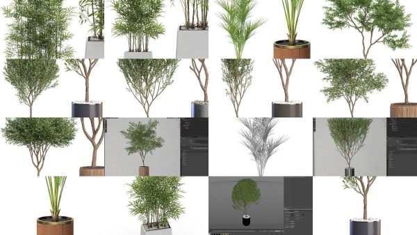 Plants collection vol 12