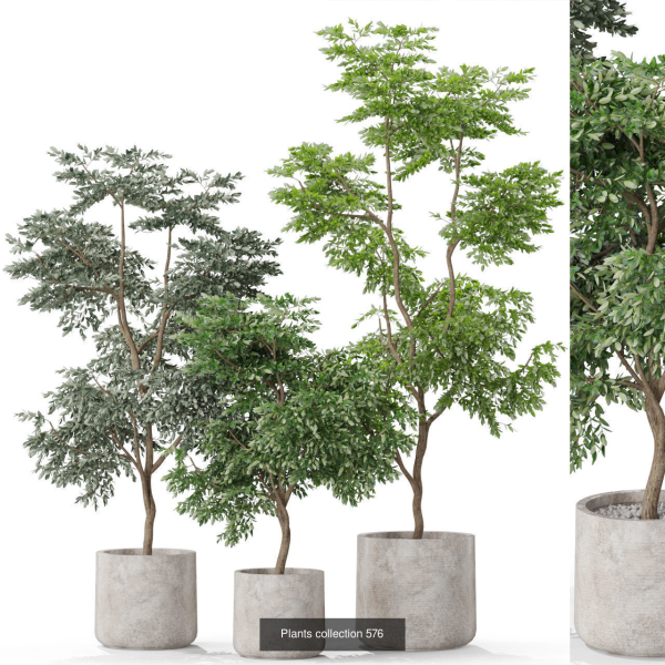 Plants collection vol 12
