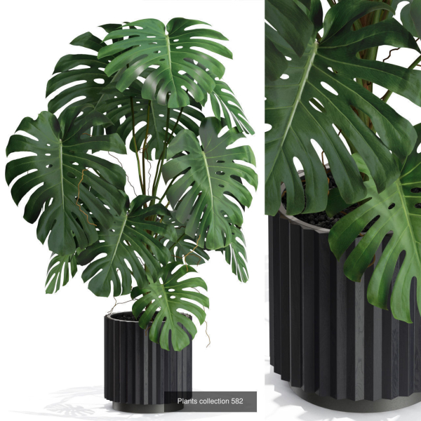 Plants collection vol 12
