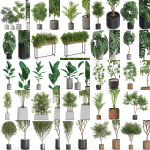 Plants collection vol 12