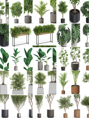 Plants collection vol 12