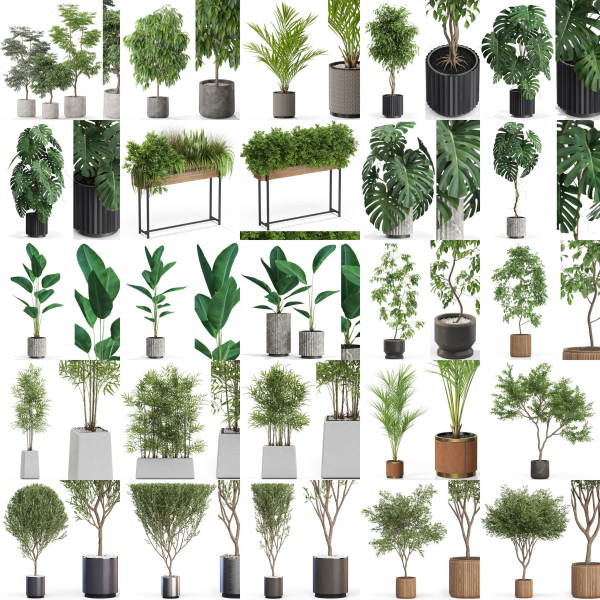 Plants collection vol 12