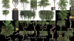 Plants collection vol 13