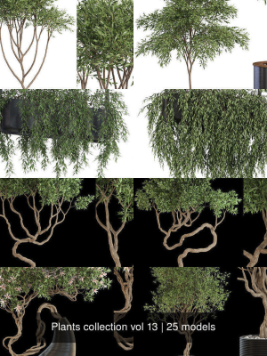 plants-collection-vol-13-3d-model-max-obj-fbx-c4d-blend