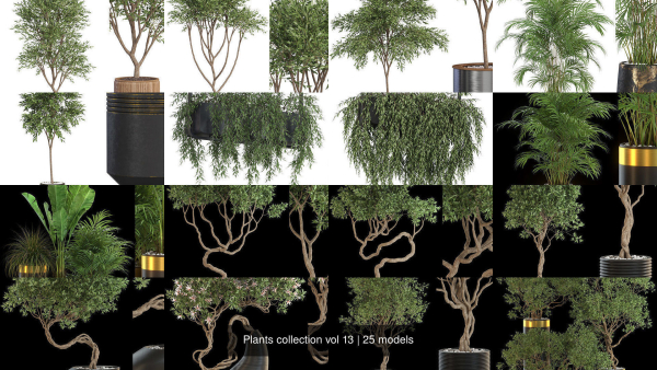 Plants collection vol 13