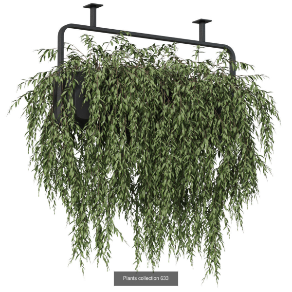 Plants collection vol 13