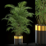 Plants collection vol 13
