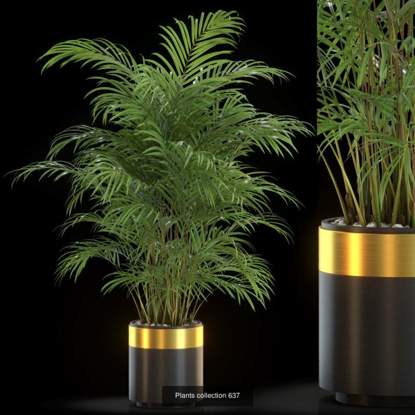 Plants collection vol 13