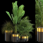 Plants collection vol 13