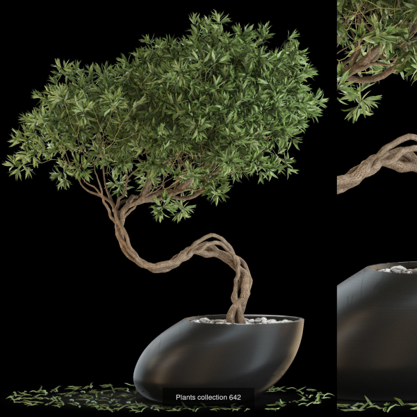 Plants collection vol 13