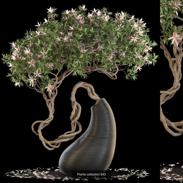 Plants collection vol 13