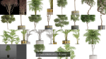 Plants collection vol 13
