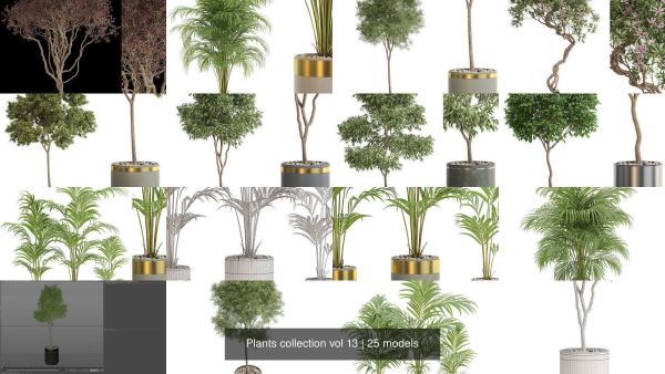 Plants collection vol 13