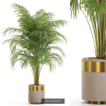 Plants collection vol 13