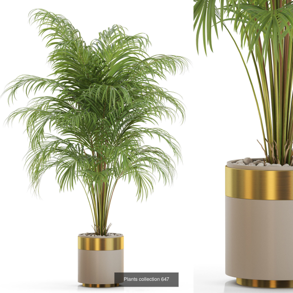 Plants collection vol 13