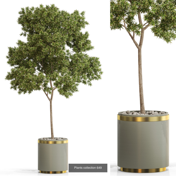 Plants collection vol 13