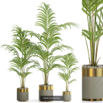 Plants collection vol 13