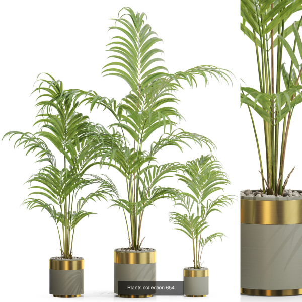 Plants collection vol 13