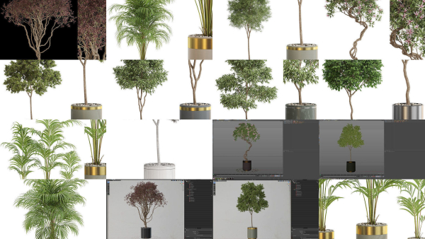 Plants collection vol 13