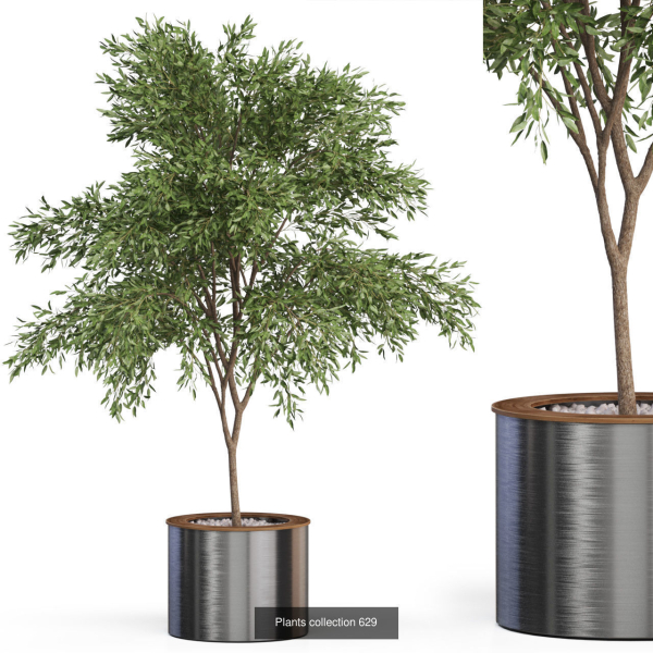 Plants collection vol 13