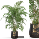 Plants collection vol 13