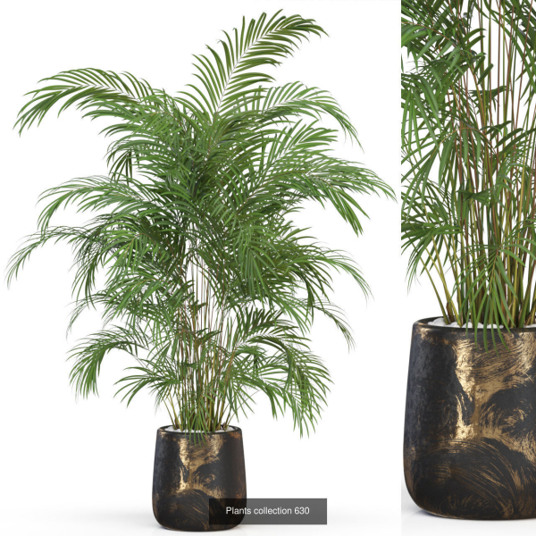 Plants collection vol 13